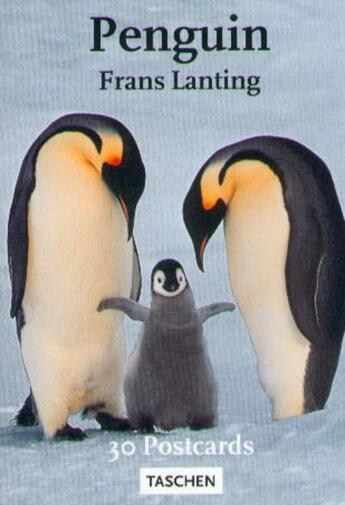 Couverture du livre « Pk-lanting pingouins » de  aux éditions Taschen