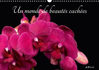 Couverture du livre « Un monde de beautes cachees calendrier mural 2018 din a3 hor - belles et colorees calendrier » de Fieschi A aux éditions Calvendo