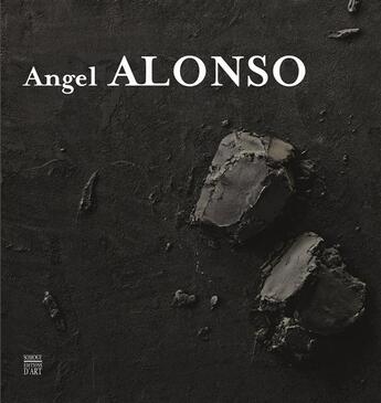 Couverture du livre « Angel Alonso » de Pascal Bonnafoux aux éditions Somogy