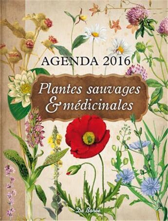 Couverture du livre « Plantes sauvages et médicinales ; agenda 2016 » de  aux éditions De Boree