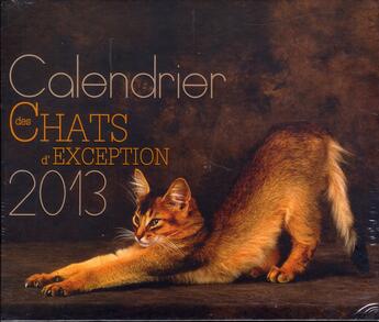 Couverture du livre « Calendrier des chats d'exception 2013 » de C Maillet aux éditions Larousse