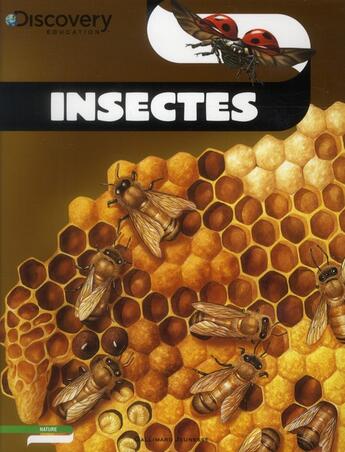 Couverture du livre « Insectes » de Lesley Mcfadzean aux éditions Gallimard-jeunesse