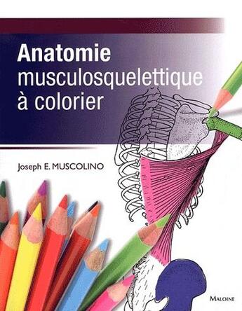 Couverture du livre « Anatomie musculosquelettique a colorier » de Joseph E. Muscolino aux éditions Maloine