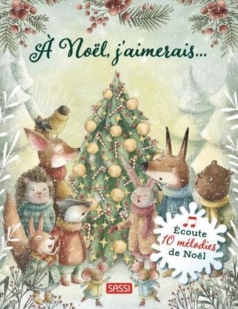 Couverture du livre « À Noël, j'aimerais... » de Giulia Pesavento et Irene Bommaci aux éditions Sassi