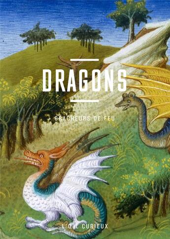 Couverture du livre « Dragons : cracheurs de feu » de Laure Rioust aux éditions Bnf Editions