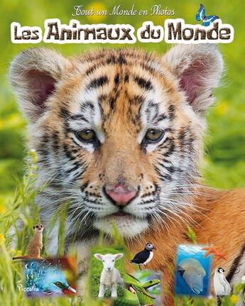 Couverture du livre « Tout un monde en photos ; les animaux du monde » de  aux éditions Piccolia