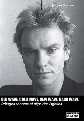 Couverture du livre « Old wave, cold wave, new wave, dark wave ; déluges sonores et clip eighties » de Jerome Pintoux aux éditions Le Camion Blanc