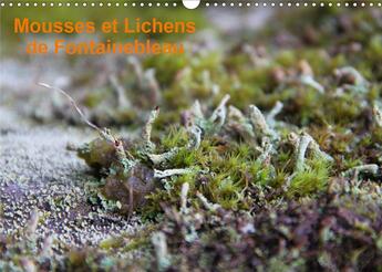 Couverture du livre « Mousses et lichens de Fontainebleau (Calendrier mural 2020 DIN A3 horizontal) ; 12 photos des mousses et lichens communs (Calendrier mensuel, 14 Pages ) » de Greg Clouzeau aux éditions Calvendo