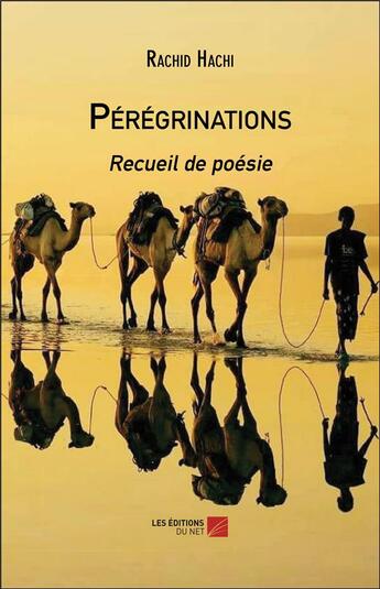 Couverture du livre « Pérégrinations » de Rachid Hachi aux éditions Editions Du Net