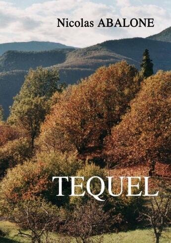 Couverture du livre « Tequel » de Nicolas Abalone aux éditions Books On Demand