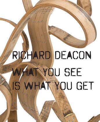 Couverture du livre « Richard Deacon : what you see is what you get » de Richard Deacon aux éditions Dap Artbook