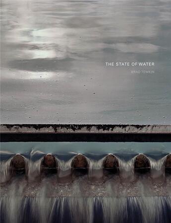 Couverture du livre « Brad temkin: the state of water » de Temkin Brad aux éditions Radius Books