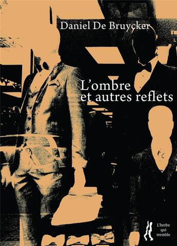 Couverture du livre « L'ombre et autres reflets » de Daniel De Bruycker aux éditions L'herbe Qui Tremble