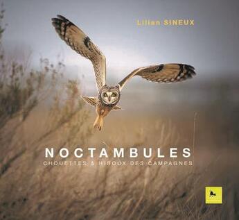 Couverture du livre « Noctambules : chouettes et hiboux des campagnes » de Lilian Sineux aux éditions Corbac Editions