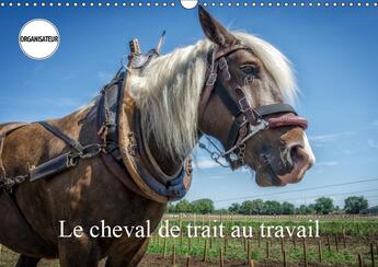 Couverture du livre « Exemples d utilisation du chev » de Gaymard Alain aux éditions Calvendo