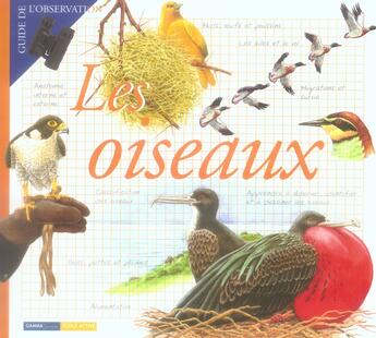 Couverture du livre « Les oiseaux » de Angels Julivert Mari aux éditions De Vecchi