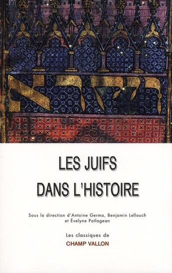 Couverture du livre « Les Juifs dans l'Histoire » de  aux éditions Champ Vallon