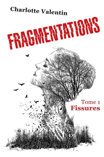 Couverture du livre « Fragmentations t.1 : fissures » de Charlotte Valentin aux éditions Librinova