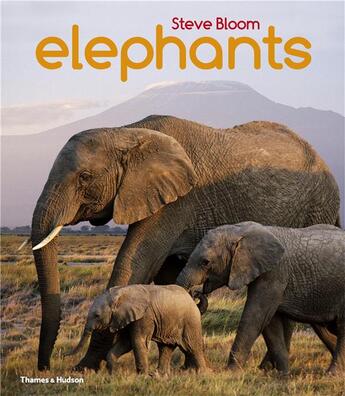 Couverture du livre « Elephants a book for children (paperback) » de Steve Bloom aux éditions Thames & Hudson