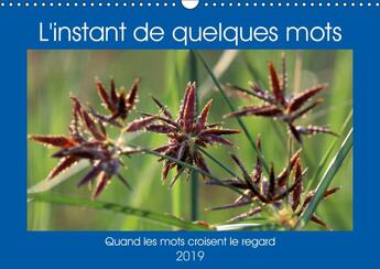 Couverture du livre « Quand les mots croisent le reg » de Sainto Loo aux éditions Calvendo