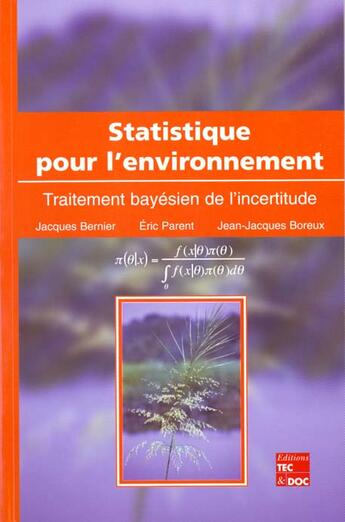 Couverture du livre « Statistique pour l'environnement - traitement bayesien de l'incertude » de Jacques Bernier aux éditions Tec Et Doc