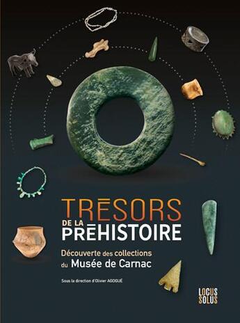 Couverture du livre « Trésors de la Préhistoire dans les collections du Musée de Carnac » de Yves Coppens aux éditions Locus Solus