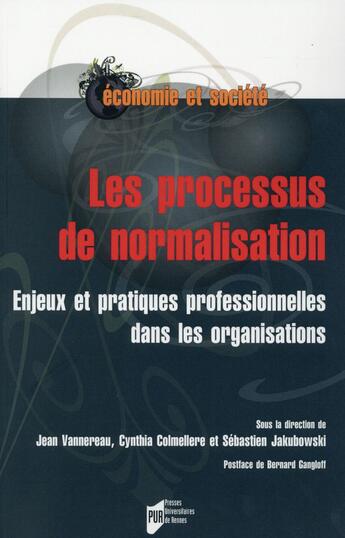 Couverture du livre « Les processus de normalisation ; enjeux et pratiques professionnelles dans les organisations » de  aux éditions Pu De Rennes