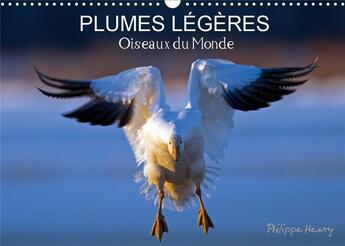 Couverture du livre « Plumes legeres oiseaux du monde calendrier mural 2020 din a3 horizontal - treize photos d oiseaux en » de Philippe Henry aux éditions Calvendo