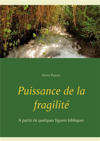 Couverture du livre « Puissance de la fragilité ; à partir de quelques figures bibliques » de Herve Ponsot aux éditions Books On Demand