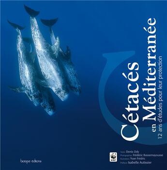 Couverture du livre « Cétacés en Méditerranée ; 12 ans d'études pour leur protection » de Denis Ody et Frederic Bassemayousse aux éditions Biotope