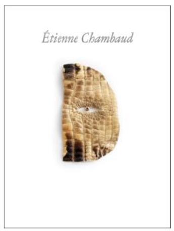 Couverture du livre « Etienne Chambaud » de Tristan Garcia et Mihnea Mircan et Filipa Ramos et Etienne Chambaud aux éditions Dilecta