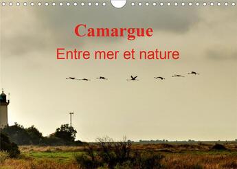 Couverture du livre « Camargue entre mer et nature calendrier mural 2020 din a4 horizontal - au c ur de la camargue entre (édition 2020) » de Didier Sibourg aux éditions Calvendo