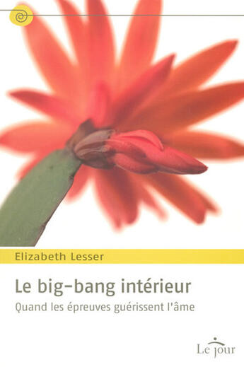 Couverture du livre « Big bang interieur » de Lesser Elisabeth aux éditions Le Jour