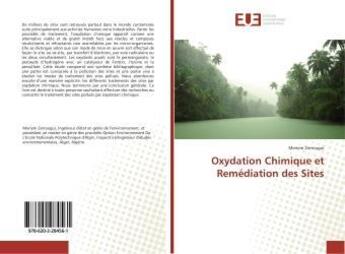 Couverture du livre « Oxydation chimique et remediation des sites » de Zerrougui Meriem aux éditions Editions Universitaires Europeennes