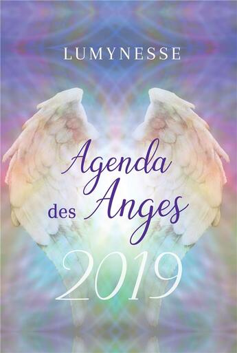 Couverture du livre « Agenda des anges (édition 2019) » de Doreen Virtue aux éditions Exergue