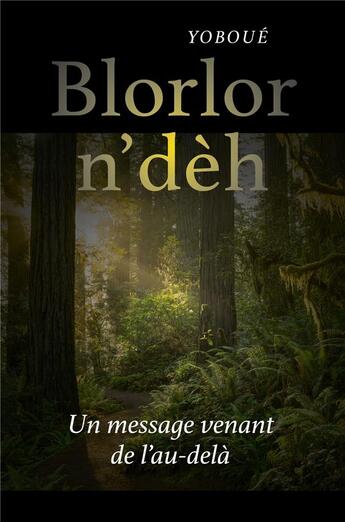 Couverture du livre « Blorlor n'deh - un message venant de l'au-dela » de Yoboue aux éditions Librinova
