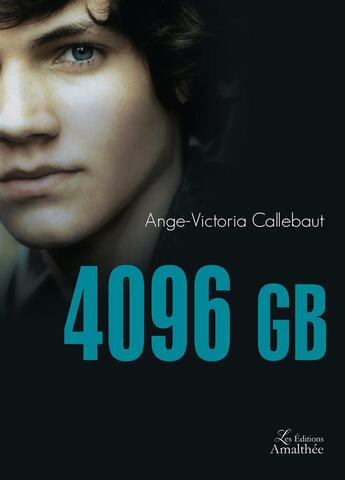 Couverture du livre « 4096 GB » de Ange-Victoria Callebaut aux éditions Amalthee