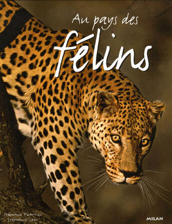 Couverture du livre « Au pays des felins » de Frattini/Ledu aux éditions Milan