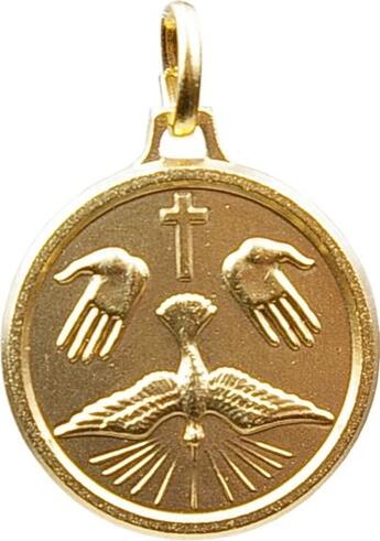 Couverture du livre « Medaille saint esprit doree » de  aux éditions Dg-exodif