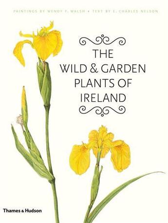 Couverture du livre « The wild & garden plants of ireland » de Walsh Wendy F aux éditions Thames & Hudson