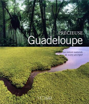 Couverture du livre « Précieuse Guadeloupe » de  aux éditions Herve Chopin