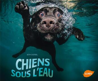 Couverture du livre « Chiens sous l'eau » de Seth Casteel aux éditions Eugen Ulmer