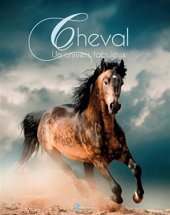 Couverture du livre « Cheval : un univers fabuleux » de Secco E aux éditions Artemis
