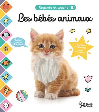 Couverture du livre « Les bebes animaux » de Cogumelo Club aux éditions Larousse