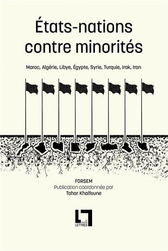 Couverture du livre « Etats-nations contre minorités : Maroc, Algérie, Libye, Egypte, Syrie, Turquie, Irak, Iran » de Hamit Bozarslan et Salem Chaker et Aomar Boum aux éditions En Toutes Lettres