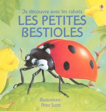 Couverture du livre « Les Petites Bestioles » de Sara Khan aux éditions Usborne