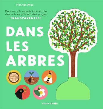 Couverture du livre « Dans les arbres » de Hannah Alice aux éditions Pere Castor