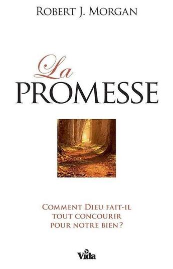 Couverture du livre « La promesse » de Robert J. Morgan aux éditions Vida