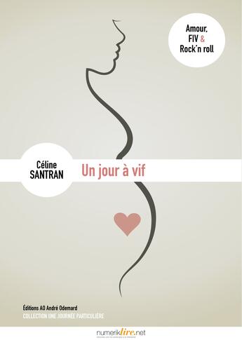 Couverture du livre « Un jour à vif » de Celine Santran aux éditions Numeriklivres