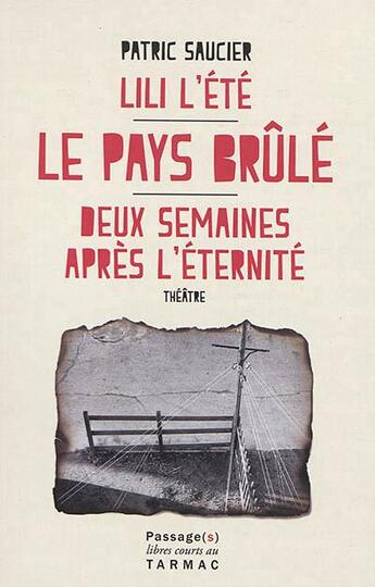 Couverture du livre « Le pays brûlé » de Patric Saucier aux éditions Passages